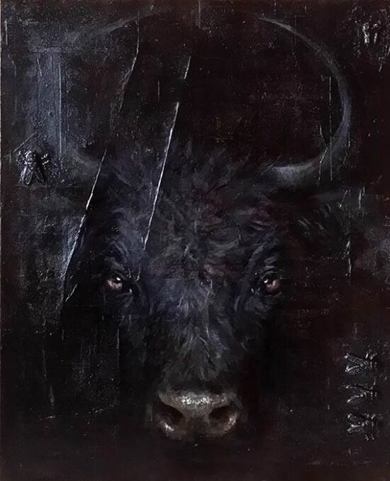 Small bull